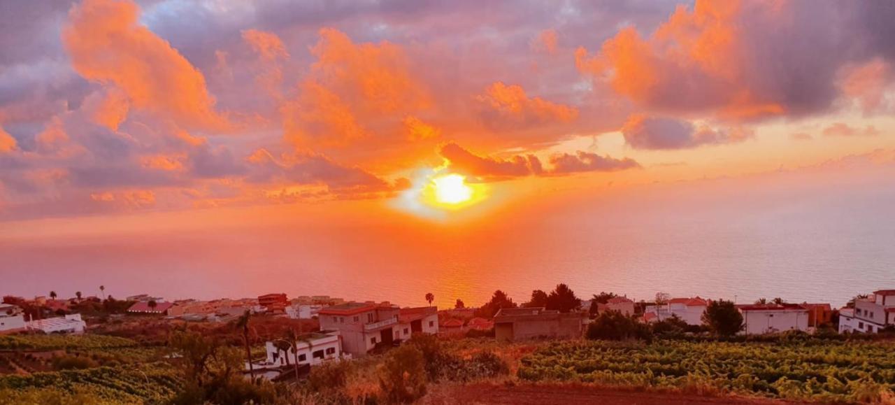 Villa La Casita La Matanza De Acentejo Zewnętrze zdjęcie